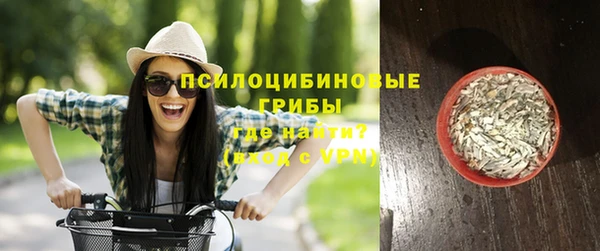 ПСИЛОЦИБИНОВЫЕ ГРИБЫ Аркадак