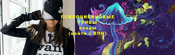 ПСИЛОЦИБИНОВЫЕ ГРИБЫ Аркадак